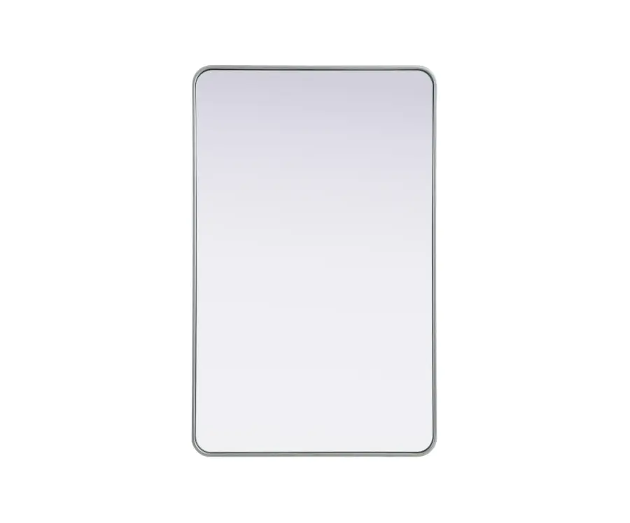 Remy 30" x 48" Wall Mirror in Silver - Image 1