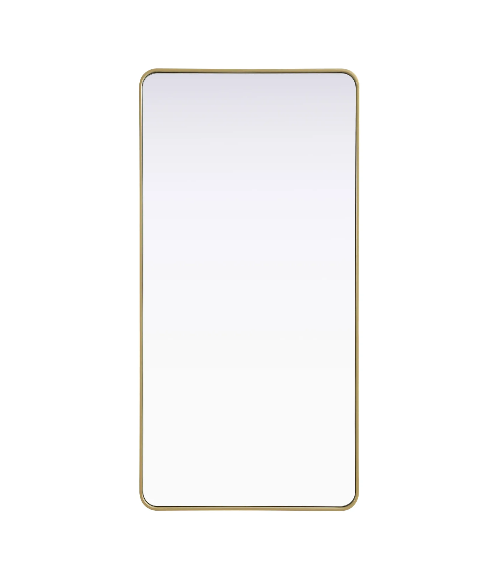 Remy 30" x 60" Brass Wall Mirror