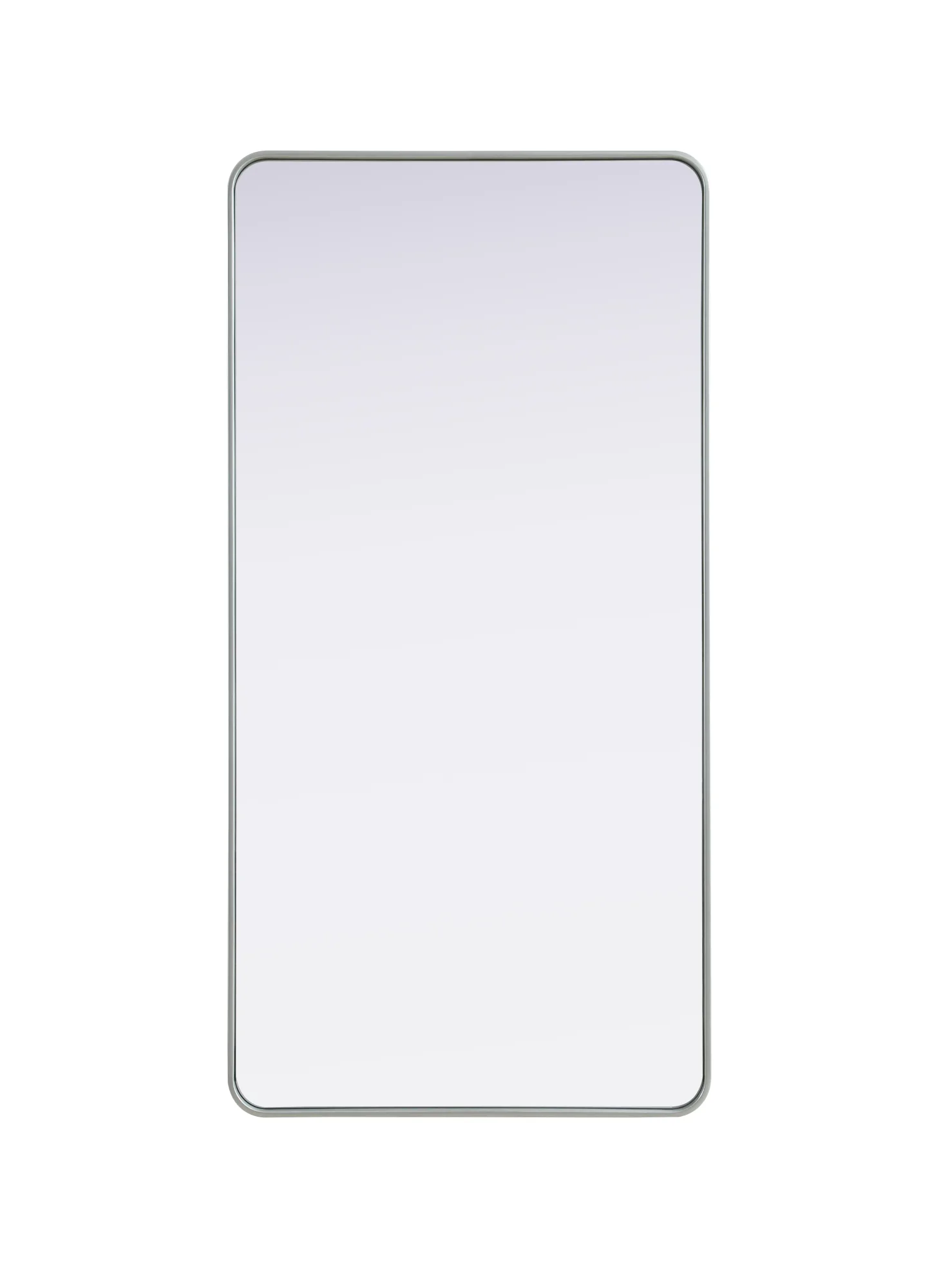 Remy 30" x 60" Wall Mirror in Silver