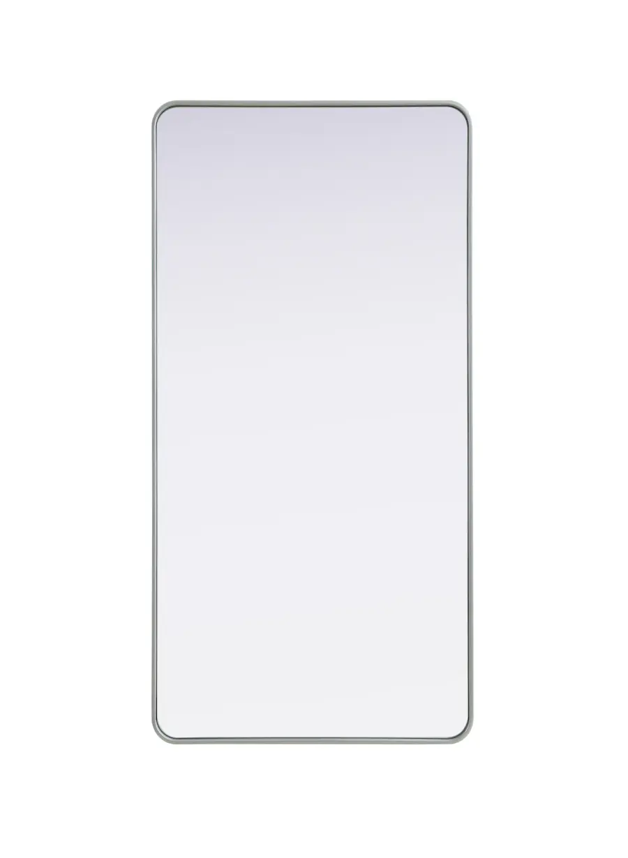 Remy 30" x 60" Wall Mirror in Silver - Image 1