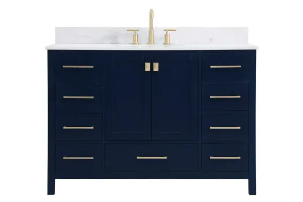Irene 48" Bathroom Vanity Set in Blue