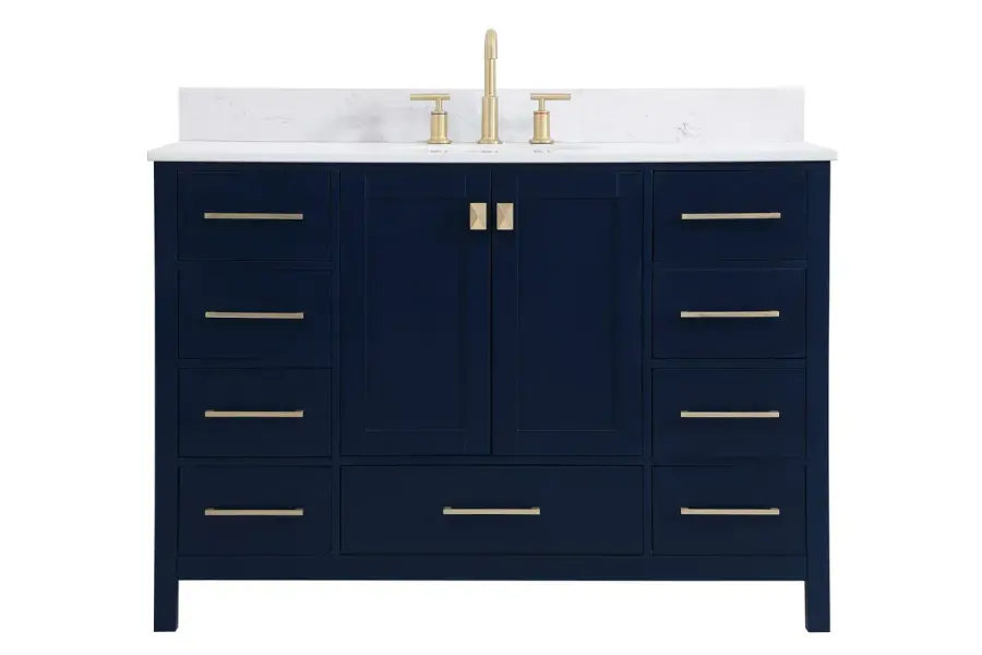 Irene 48" Bathroom Vanity Set in Blue