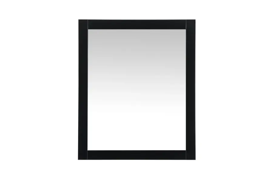 Aqua 30" x 36" Rectangular Vanity Mirror in Black