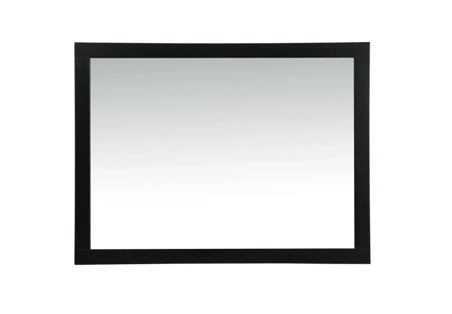Aqua 48" x 36" Rectangular Vanity Mirror in Black