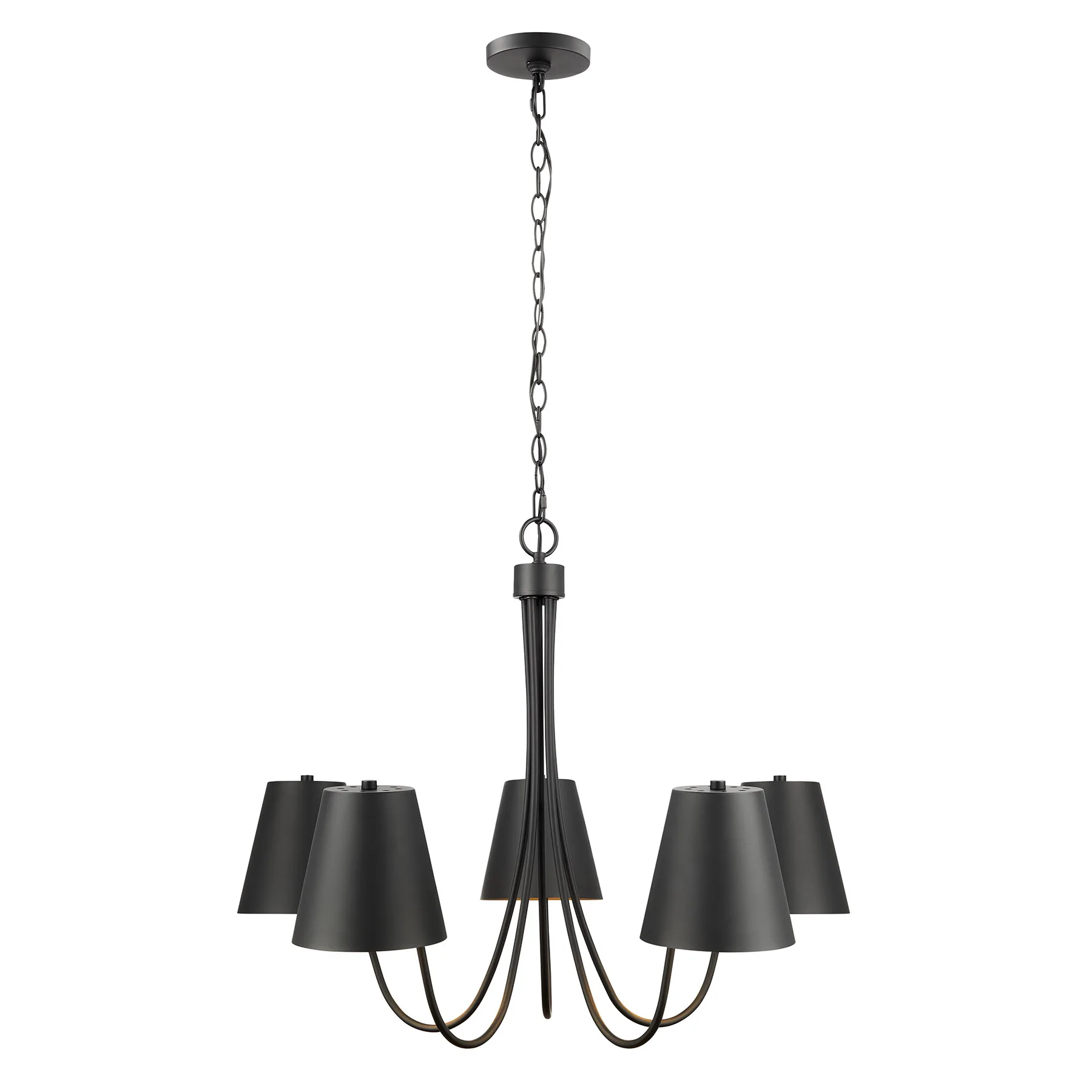 Five Light Chandelier in Matte Black
