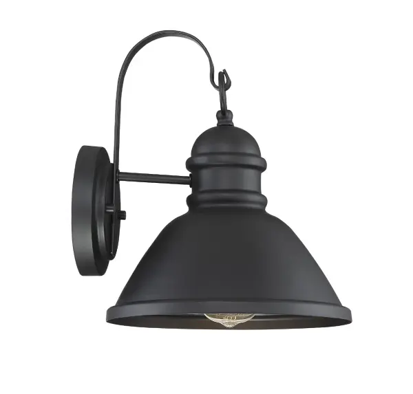 1-Light Outdoor Wall Lantern in Matte Black