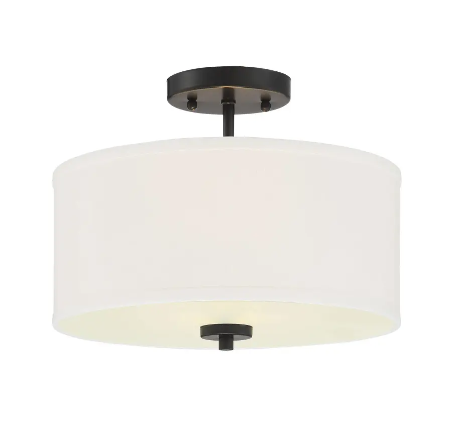 2-Light Ceiling Light in Matte Black - Image 1