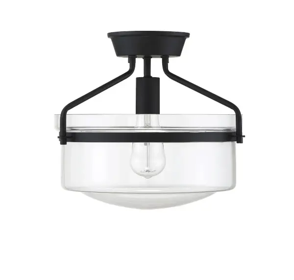 1-Light Ceiling Light in Matte Black - alternate view