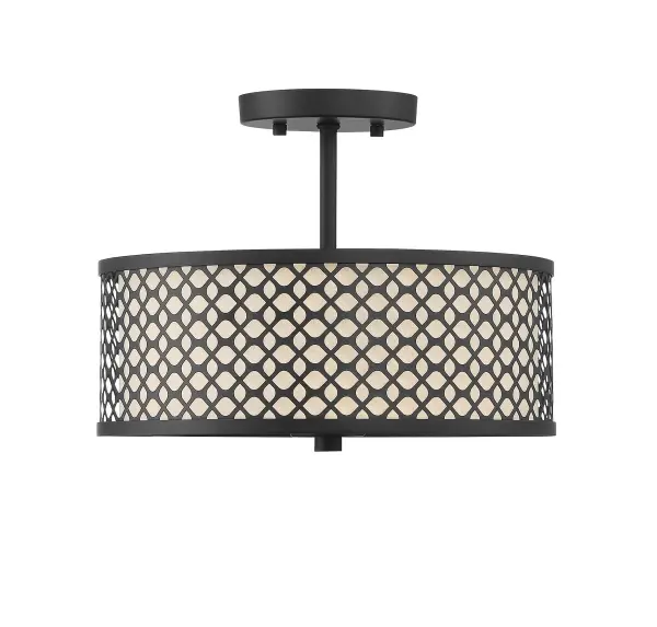 2-Light Ceiling Light in Matte Black - Image 4