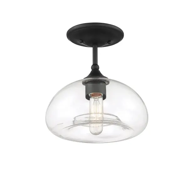 1-Light Ceiling Light in Matte Black - alternate view