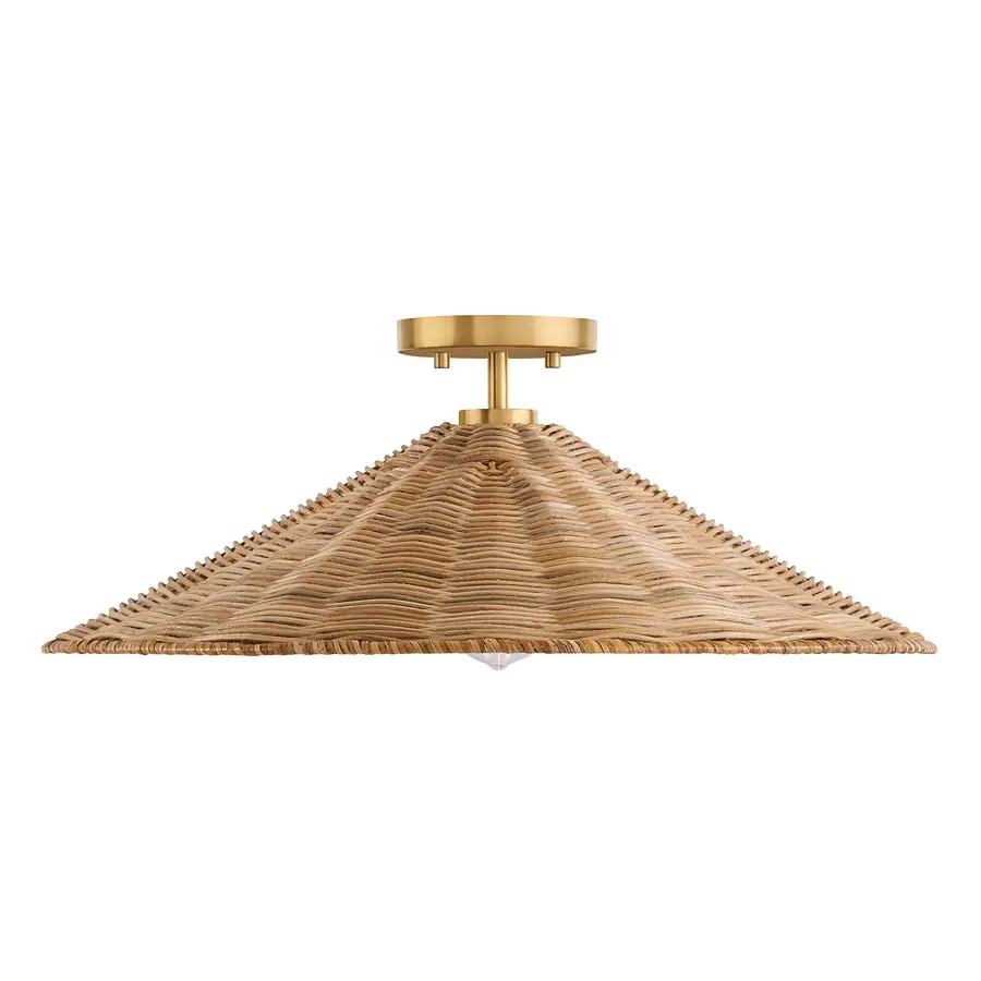 1-Light Ceiling Light in Natural Brass - Image 2