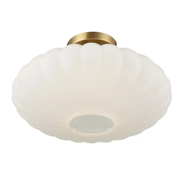 1-Light Ceiling Light in Natural Brass - Image 4