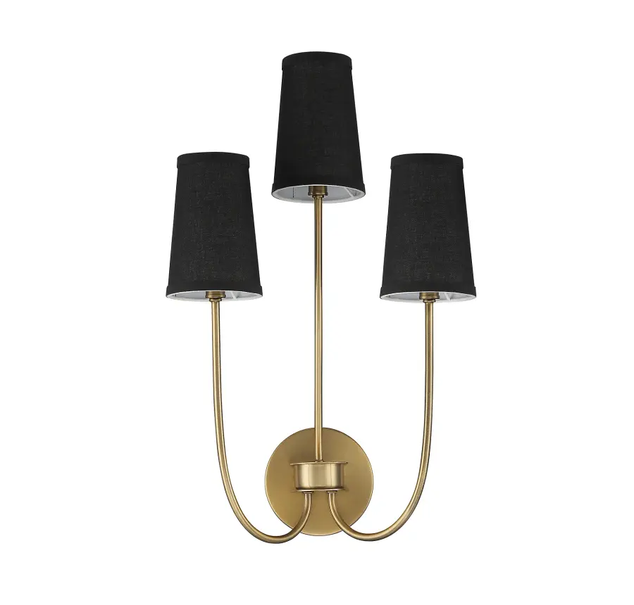 3-Light Wall Sconce in Natural Brass - Image 2