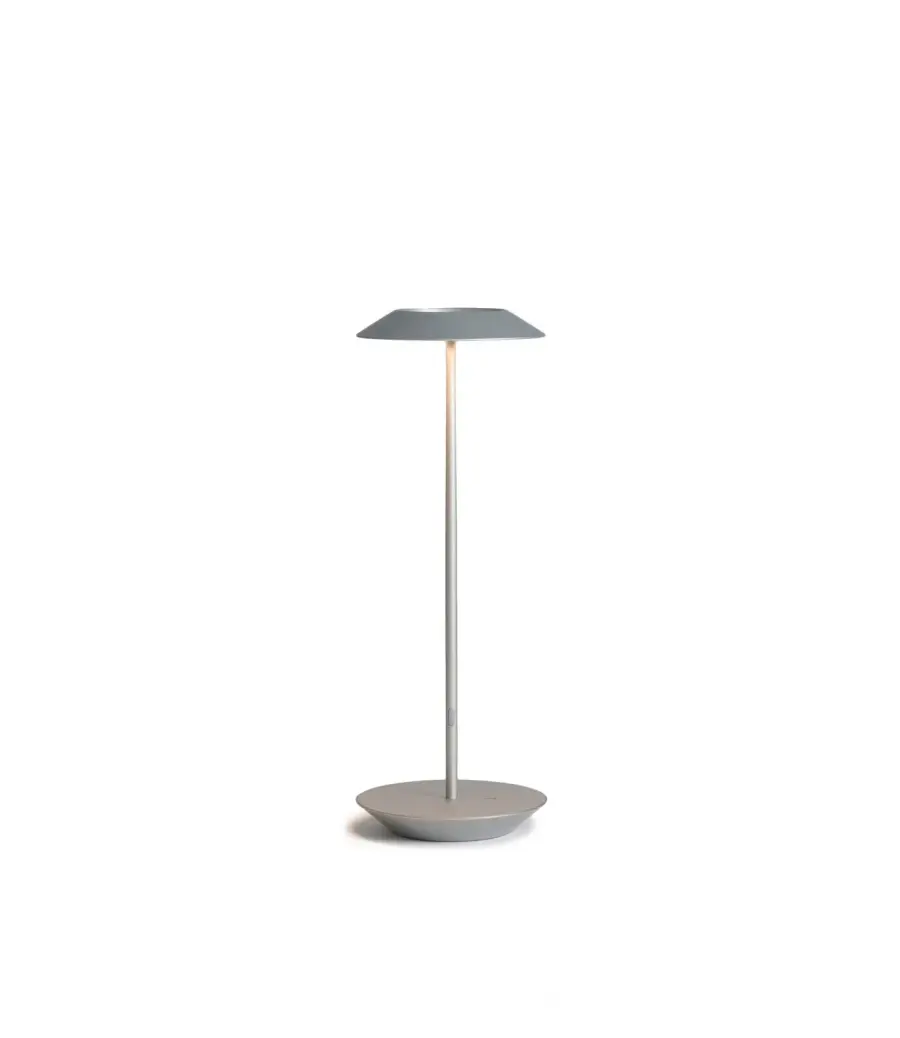Royyo LED Desk Lamp in Silver