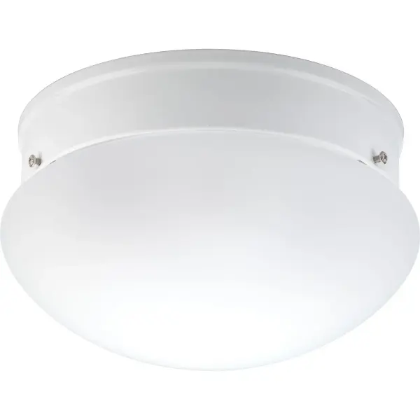 Two-Light 8" Close-to-Ceiling Light - Image 1