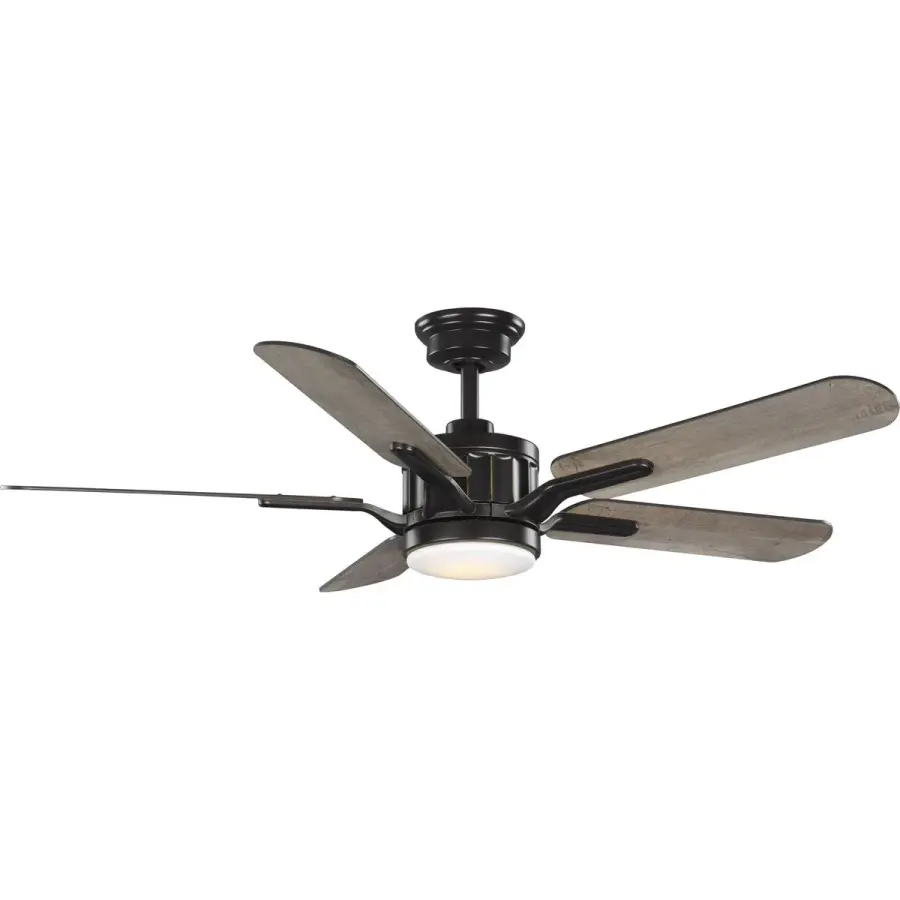 Versatile 54" Transitional Fan with Energy-Efficient AC Motor - Image 1