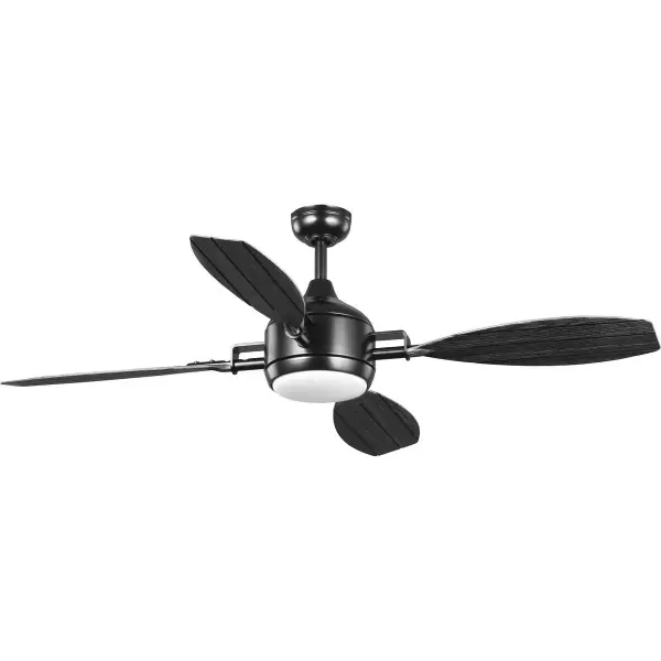 Versatile 56" Indoor/Outdoor Fan with Coastal Style - Image 2