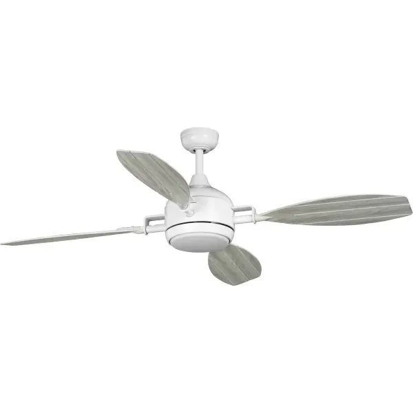 Versatile 56" Indoor/Outdoor Fan with Coastal Style - Image 3