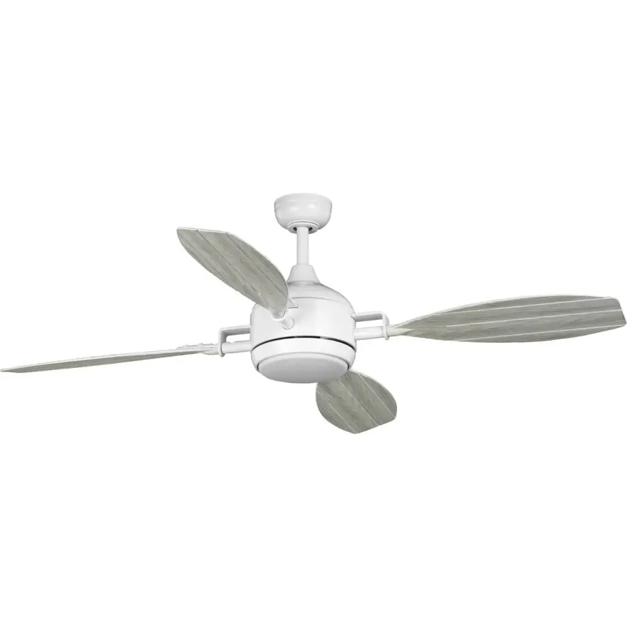 Versatile 56" Indoor/Outdoor Fan with Coastal Style - Image 3