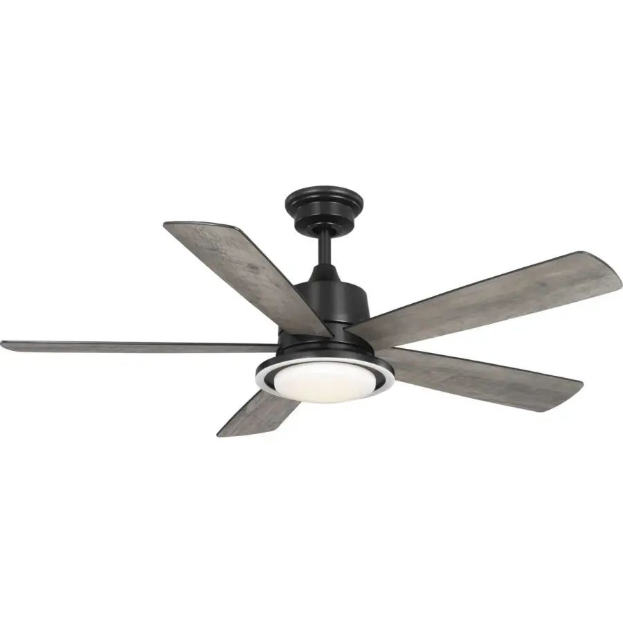 The Progress Lighting - Tarsus by Progress Lighting