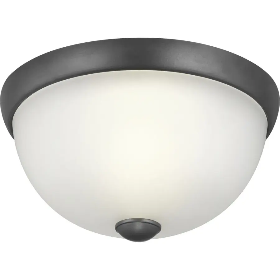 11" Glass Dome Flush Mount in Graphite