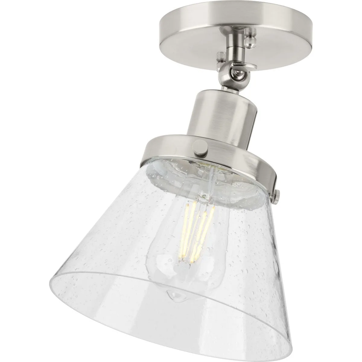 Hinton Collection One-Light Seeded Glass Ceiling Light