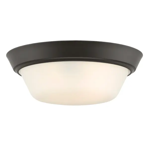 Edessa Flush Mount in Brushed Nickel - Image 13