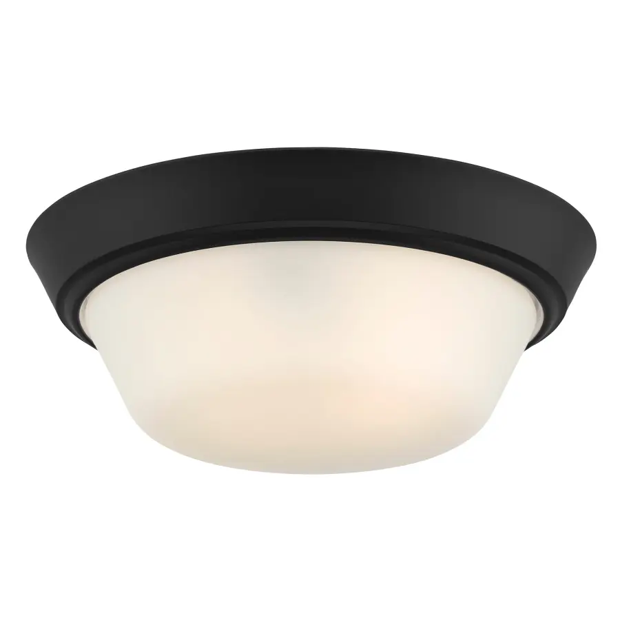 Edessa Flush Mount in Brushed Nickel - Image 17