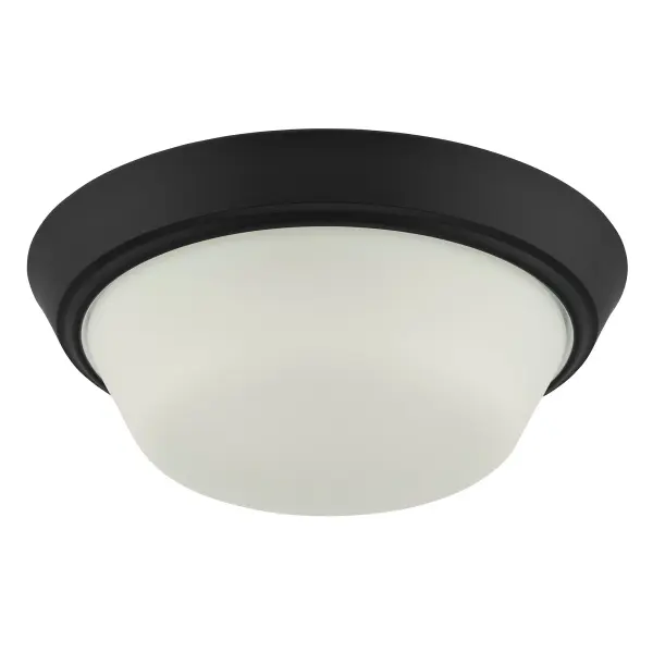 Edessa Flush Mount in Brushed Nickel - Image 19
