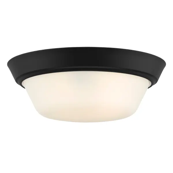 Edessa Flush Mount in Brushed Nickel - Image 20