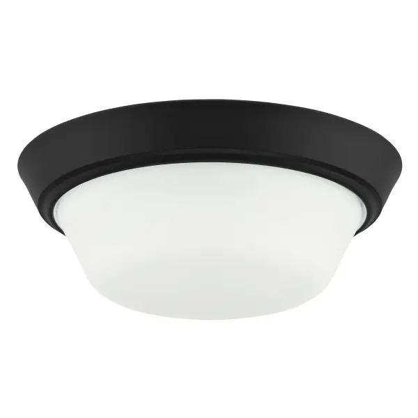 Edessa Flush Mount in Brushed Nickel - Image 22