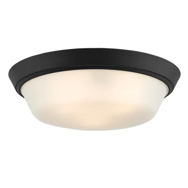 Edessa Flush Mount in Brushed Nickel - Image 14