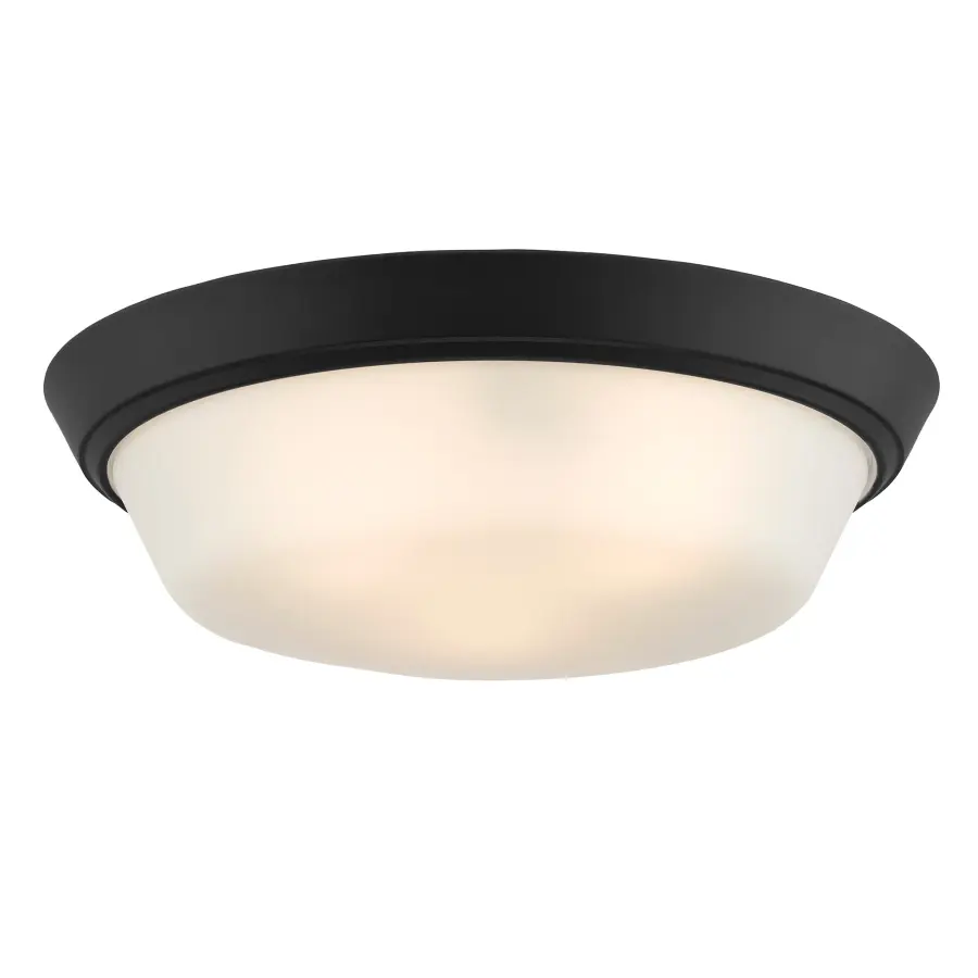 Edessa Flush Mount in Brushed Nickel - Image 14