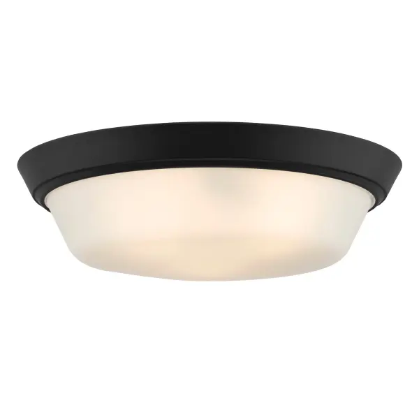 Edessa Flush Mount in Brushed Nickel - Image 18