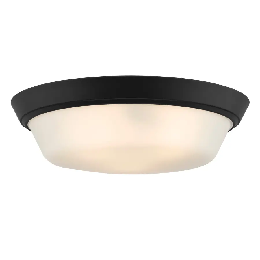 Edessa Flush Mount in Brushed Nickel - Image 18