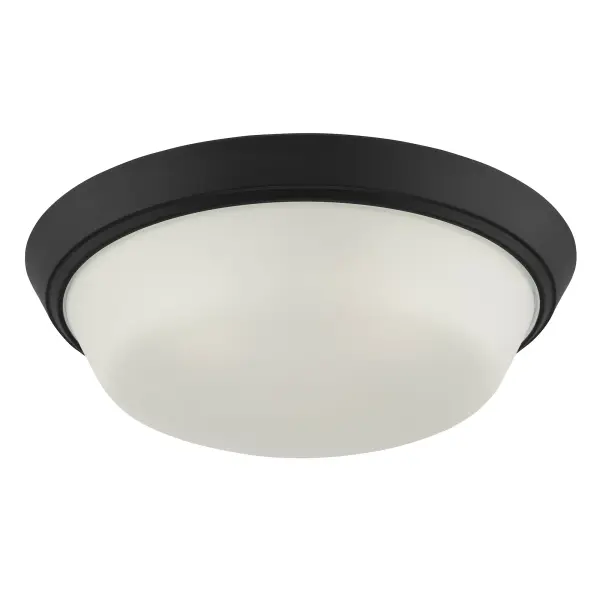 Edessa Flush Mount in Brushed Nickel - Image 19