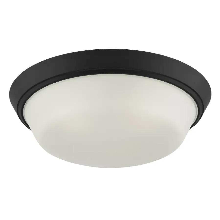 Edessa Flush Mount in Brushed Nickel - Image 19
