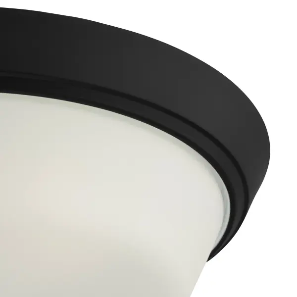 Edessa Flush Mount in Brushed Nickel - Image 22