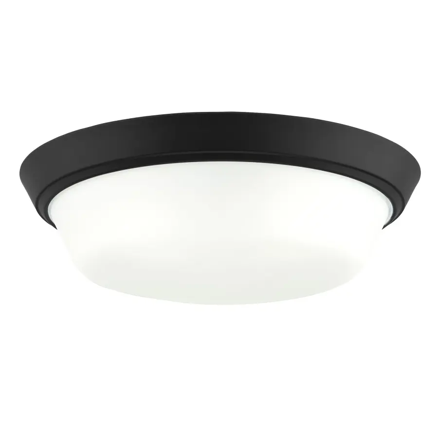 Edessa Flush Mount in Brushed Nickel - Image 23
