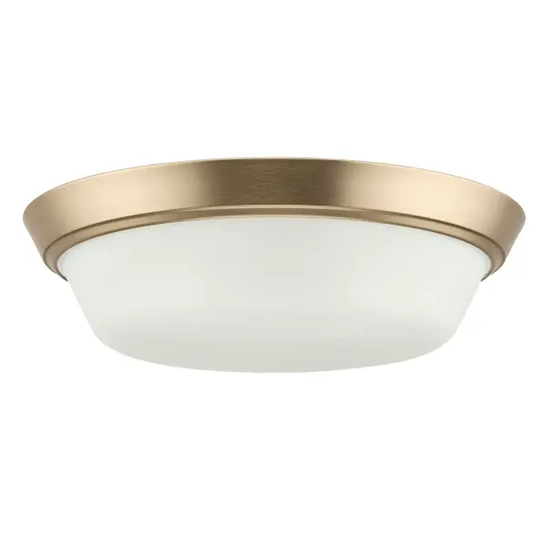 Edessa Flush Mount in Brushed Nickel - Image 31