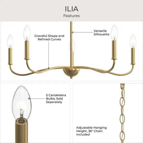 Ilia Five-Light Chandelier - Image 25