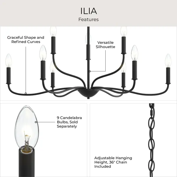Ilia Nine-Light Chandelier - Image 12