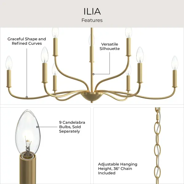 Ilia Nine-Light Chandelier - Image 20