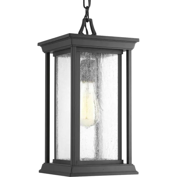 Endicott One-Light Outdoor Hanging Lantern - Image 3