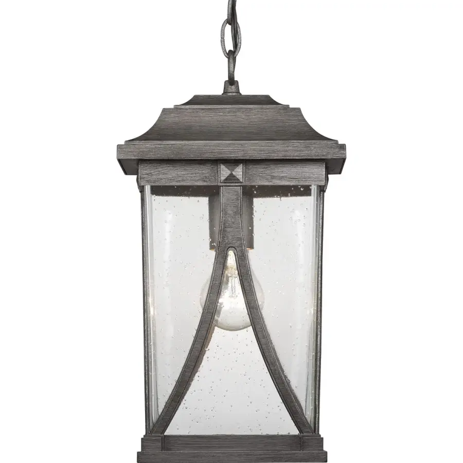 Abbott Collection One-Light Hanging Lantern - Image 2