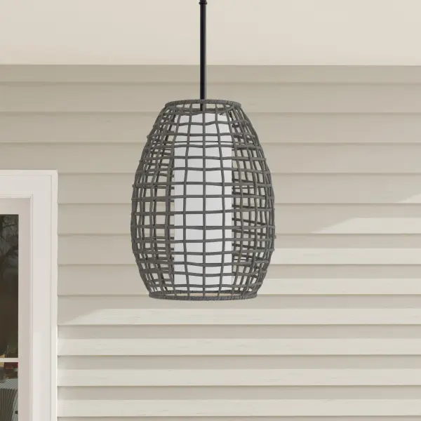 Pawley Collection One-Light Indoor/Outdoor Hanging Pendant - Image 1