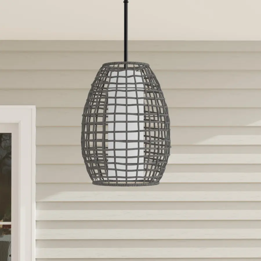 Pawley Collection One-Light Indoor/Outdoor Hanging Pendant - Image 1