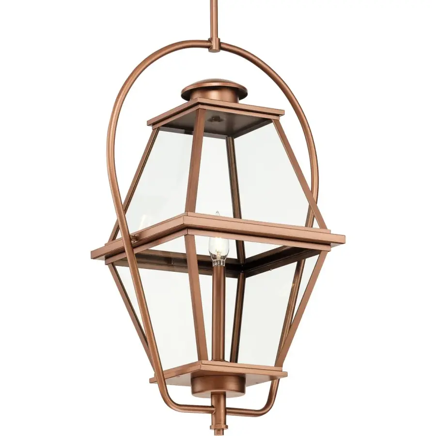 Bradshaw One-Light Clear Glass Outdoor Hanging Lantern - Image 3