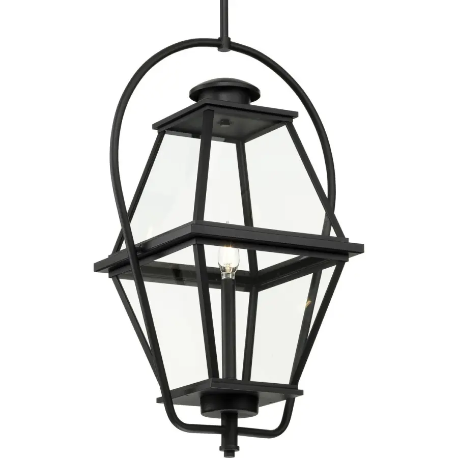 Bradshaw One-Light Clear Glass Outdoor Hanging Lantern - Image 4