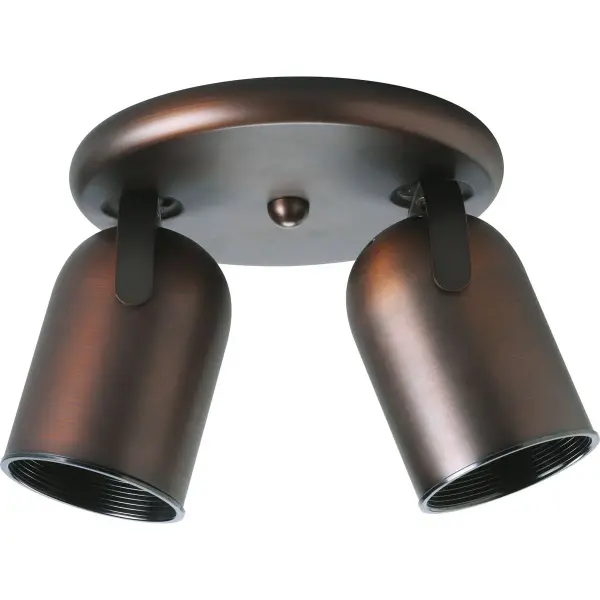 Two-Light Multi-Directional Roundback Wall/Ceiling Fixture - Image 2